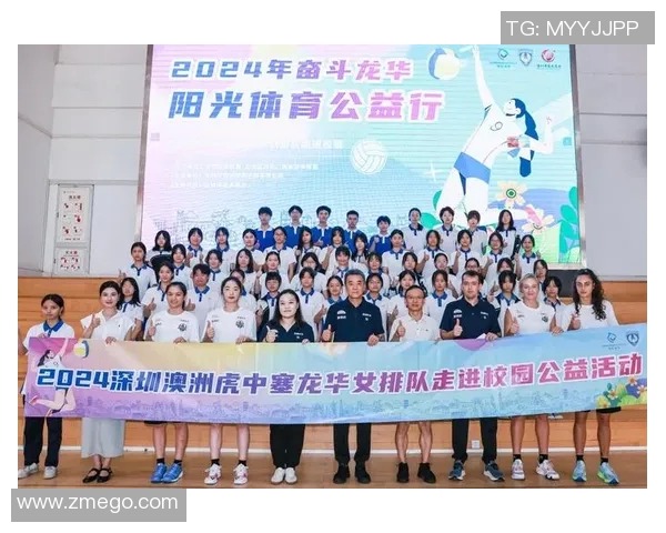 深圳排球队在杯赛中的状态分析与表现评估