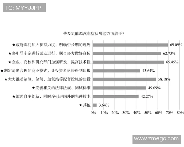 南京排球队个人能力分析与发展策略探讨
