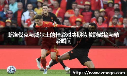 万博max官网