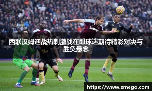 万博max平台