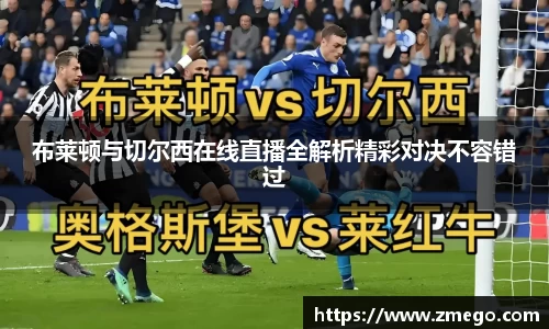万博max官网