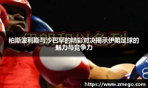 万博max官网