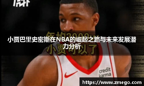 万博max入口