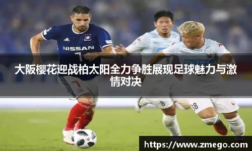 万博max官网